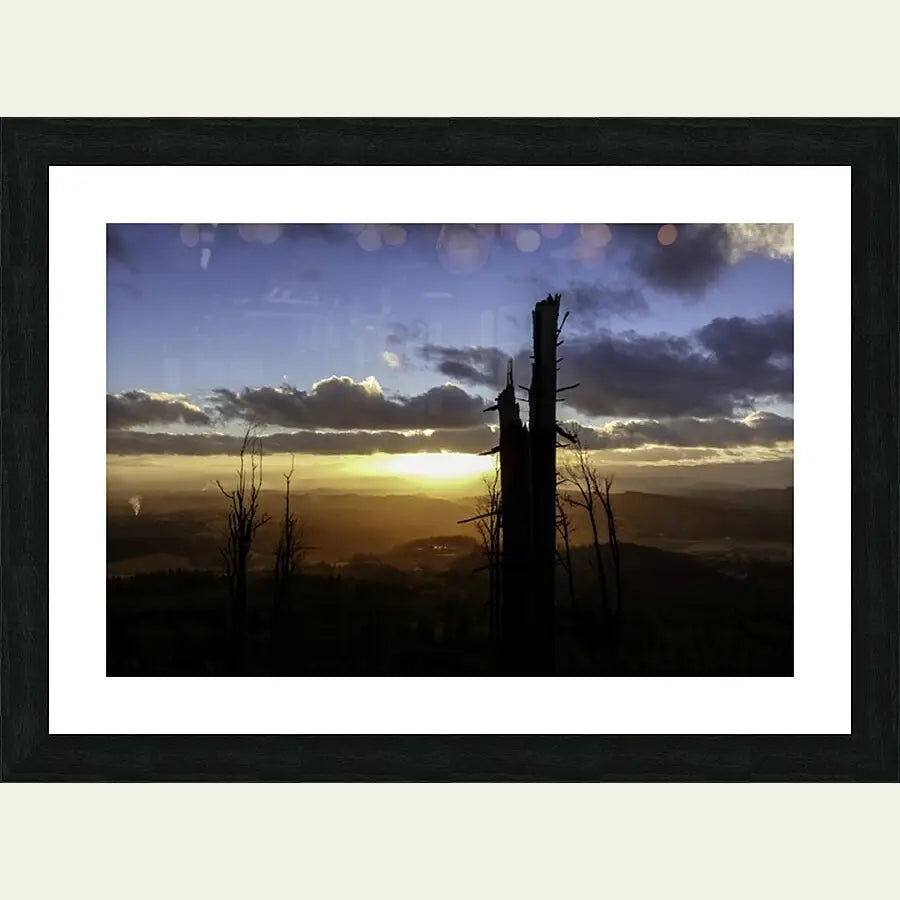 2304597 :: Framed Print