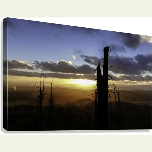 2304597 :: Giclée Stretched Canvas Print