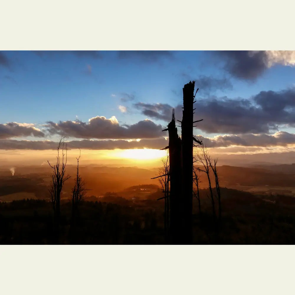 2304597 :: Giclée Fine Art Matte Paper Print