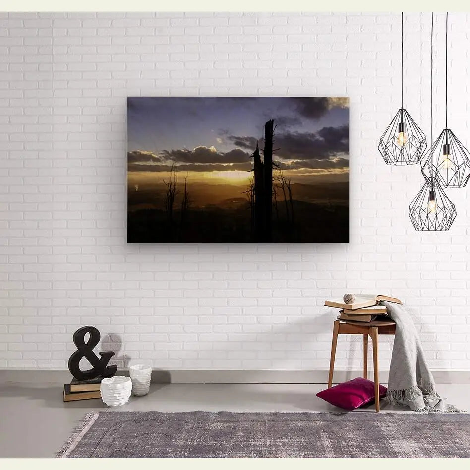 2304597 :: Wood Print