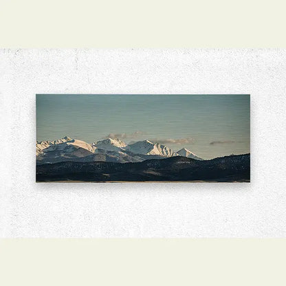 2304663 :: Brushed Metal Print