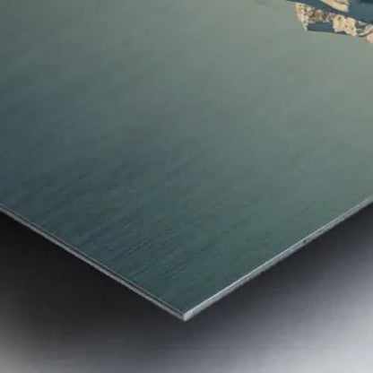 2304663 :: Brushed Metal Print