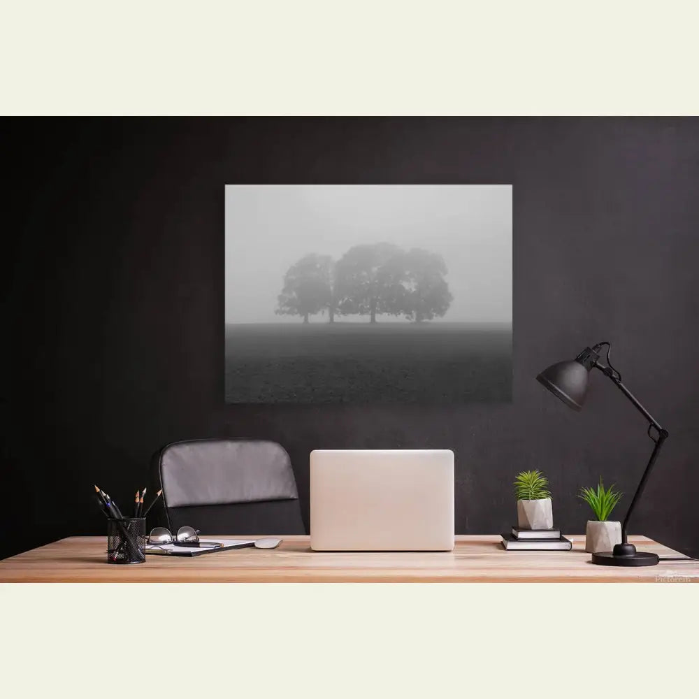 2304605 :: Giclée Stretched Canvas Print