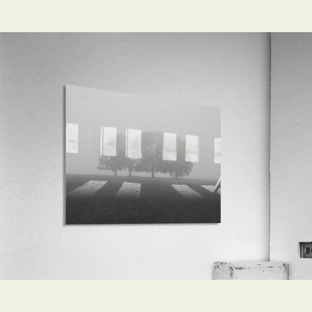 2304605 :: Acrylic Print