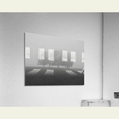 2304605 :: Acrylic Print