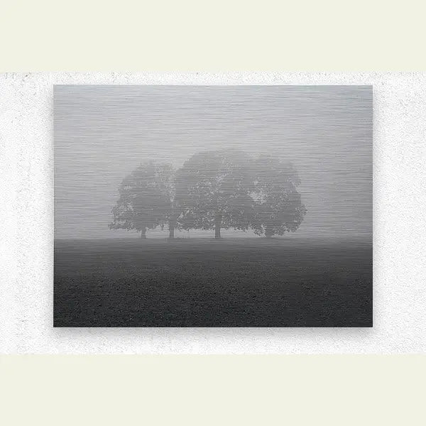 2304605 :: Brushed Metal Print