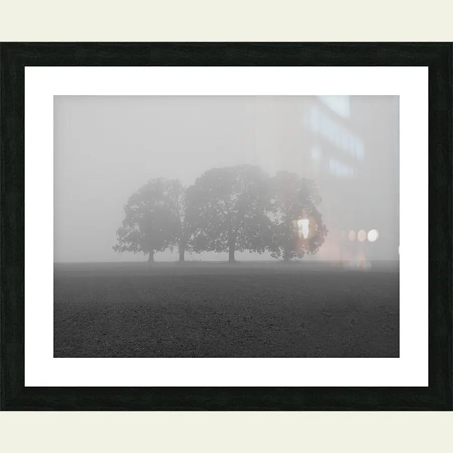 2304605 :: Framed Print