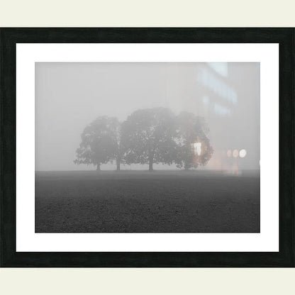 2304605 :: Framed Print