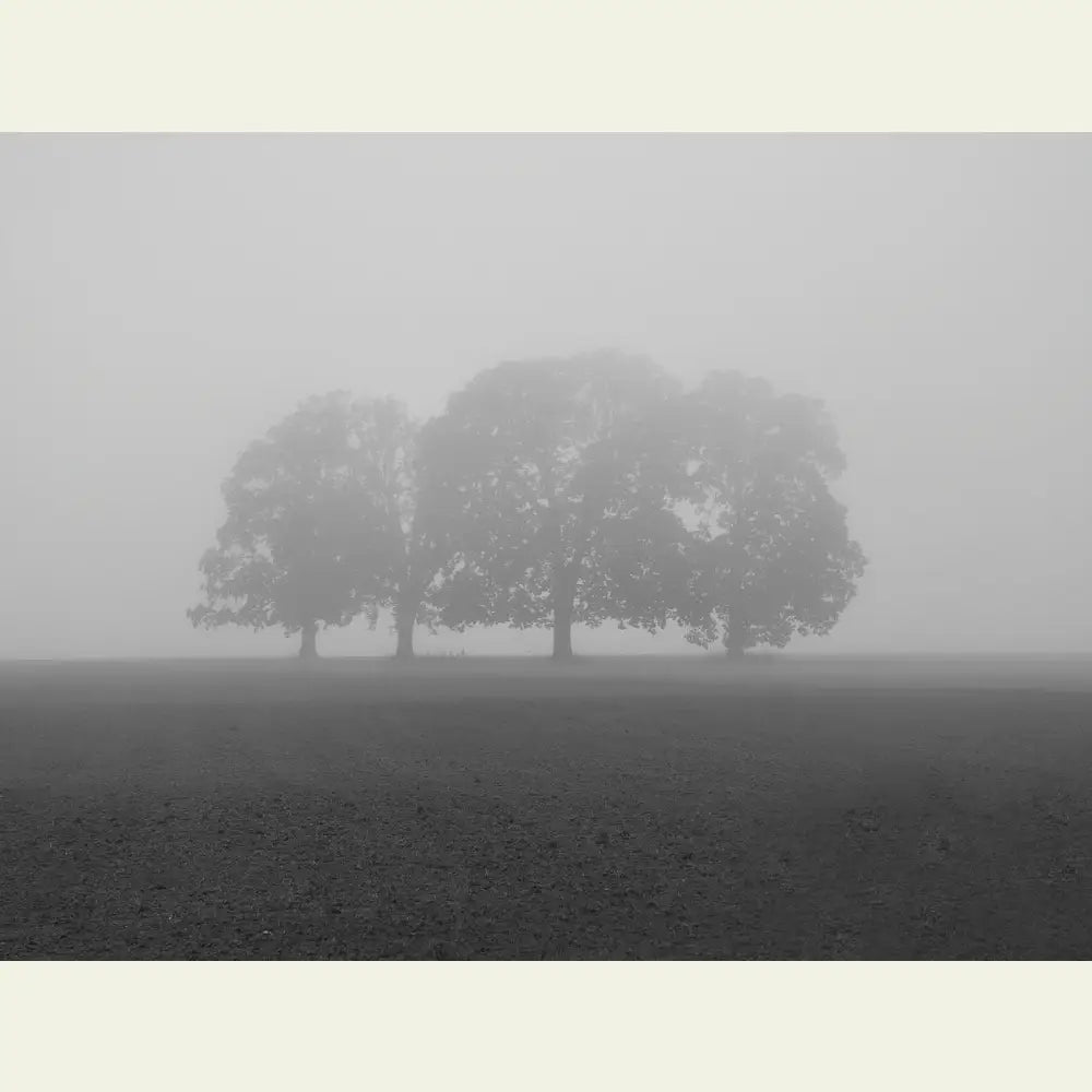 2304605 :: Giclée Fine Art Matte Paper Print