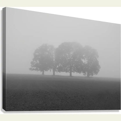 2304605 :: Giclée Stretched Canvas Print