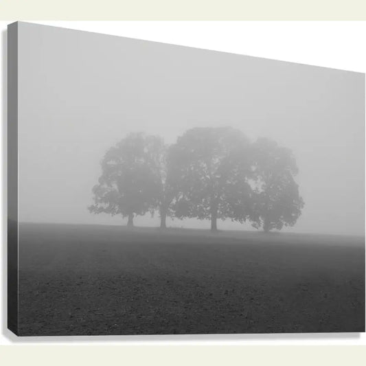 2304605 :: Giclée Stretched Canvas Print