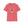 ’Horseshoe T shirt Double R Western’s™ Softstyle T Shirt S / Coral Silk T Shirt