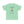 ’Howdy Buckaroo’ Double R Western’s Heavy Cotton Tee Back Graphic Design Mint Green / S T Shirt