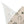 ’Howdy’ Double R Western’s Western Adventure Pet Bandana Pets