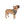’Lone Star Paws’ Double R Western’s Western Adventure Pet Bandana 27’’ × 13’’ Pets