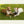 ’Lone Star Paws’ Double R Western’s Western Adventure Pet Bandana Pets