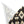 ’Lone Star Paws’ Double R Western’s Western Adventure Pet Bandana Pets