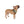 ’Rustic Teton’ Double R Western’s Adventure Pet Bandana Pets