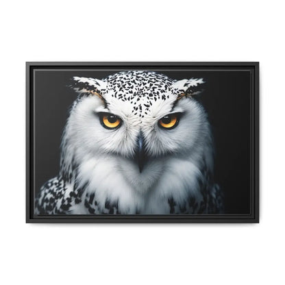 Sacred Snow Owl Framed Canvas - Double R Western™ - 24″ x 16″ (Horizontal) / Black / 1.25’’ - Canvas