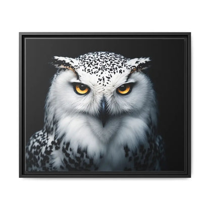 Sacred Snow Owl Framed Canvas - Double R Western™ - 24’’ x 20’’ (Horizontal) / Black / 1.25’’ - Canvas