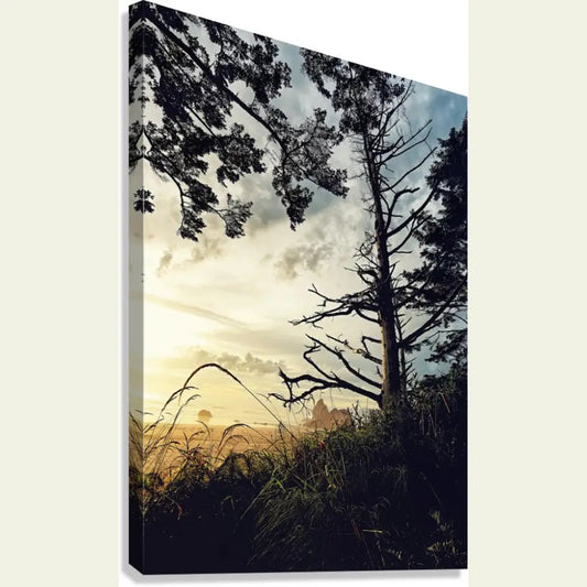 2302624 :: Giclée Stretched Canvas Print