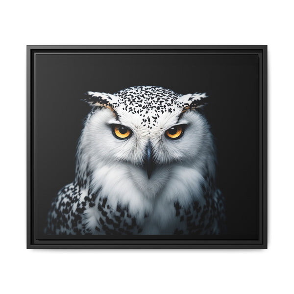 Framed owl wall canvas with white and gray owl, orange eyes, black frame, dark background