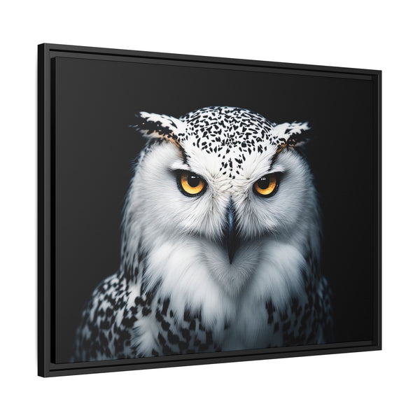 Framed canvas wall art of a white snowy owl with amber eyes, black frame