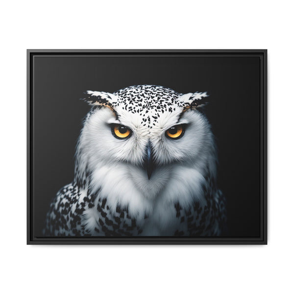 Framed canvas wall art featuring a white and gray owl with amber eyes, dark frame