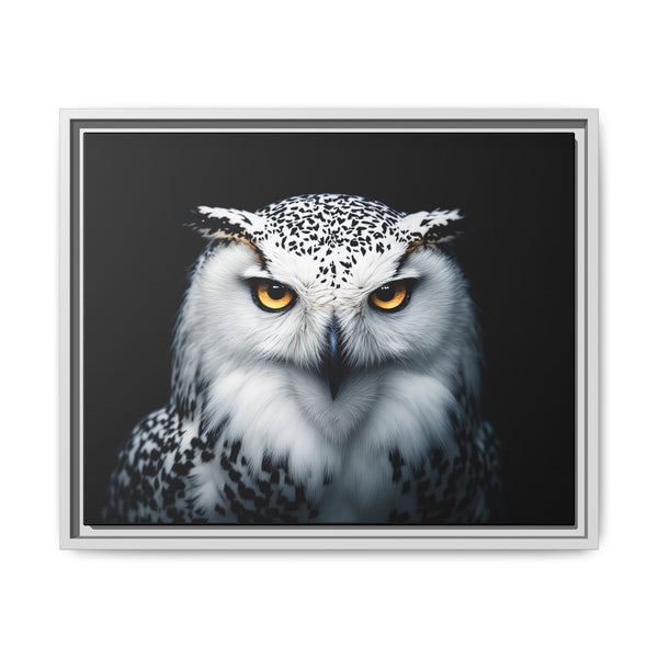 Framed canvas wall art featuring a white and gray owl with amber eyes, silver frame