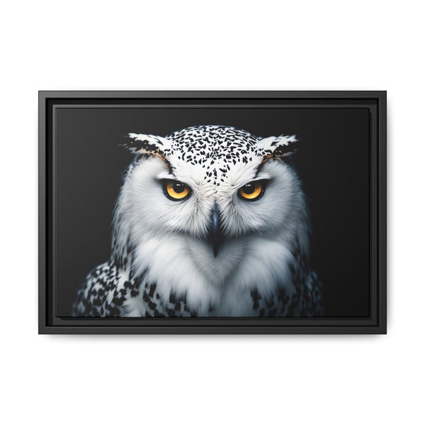 Framed owl wall canvas with white and gray owl, orange eyes, black frame, dark background