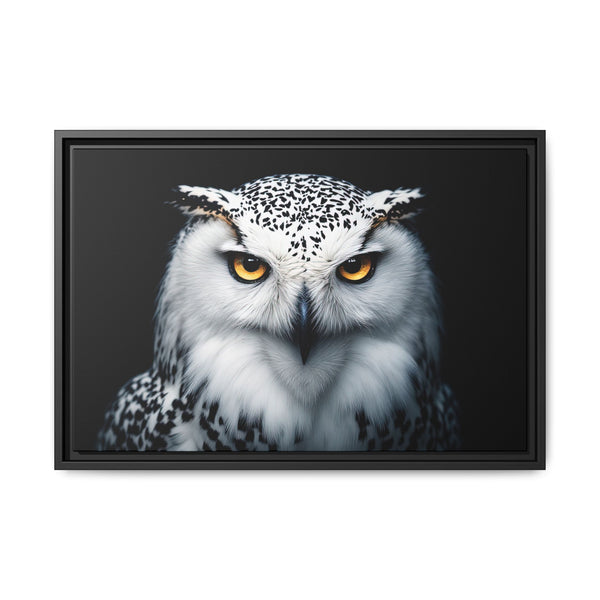 Framed owl wall canvas with white and gray owl, orange eyes, black frame