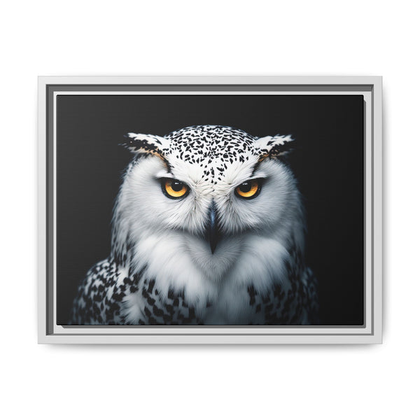 Framed owl canvas with white and gray feathers and yellow eyes; white border frame