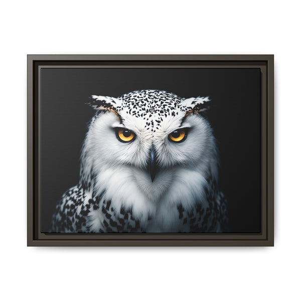 Framed owl canvas featuring yellow eyes and spotted white head; espresso-brown frame