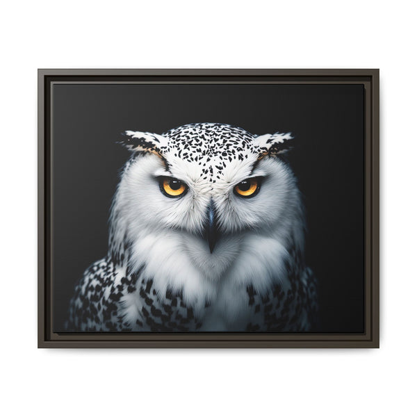 Framed canvas wall art featuring a white and gray owl with amber eyes, dark frame