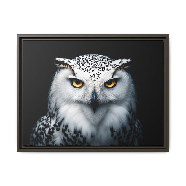 Framed canvas wall art featuring a white and gray owl with amber eyes, dark frame
