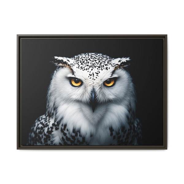 Framed canvas wall art featuring a white and gray owl with amber eyes, dark frame