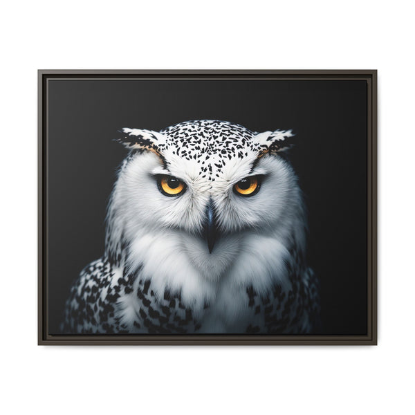 Framed canvas wall art featuring a white and gray owl with amber eyes, dark frame