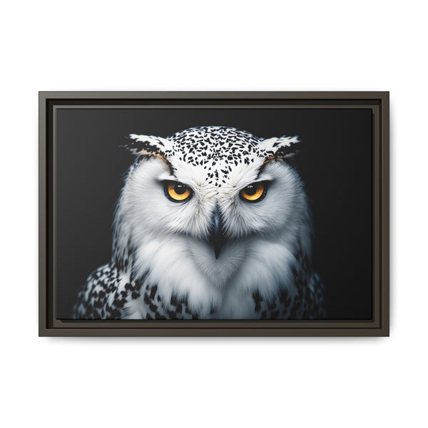Framed owl wall canvas with white and gray owl, orange eyes, dark brown frame