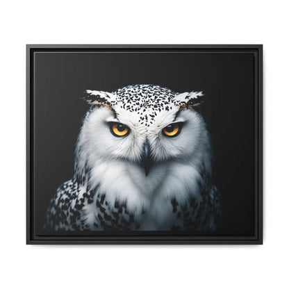 Snow Owl Midnight Edition Framed Art Canvas Wrap – Double R Western™ 24’’ x 20’’ (Horizontal) / Black / 1.25’’ Canvas
