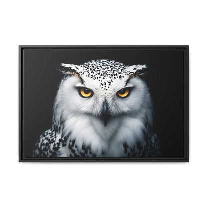 Snow Owl Midnight Edition Framed Art Canvas Wrap – Double R Western™ 30″ x 20″ (Horizontal) / Black / 1.25’’ Canvas