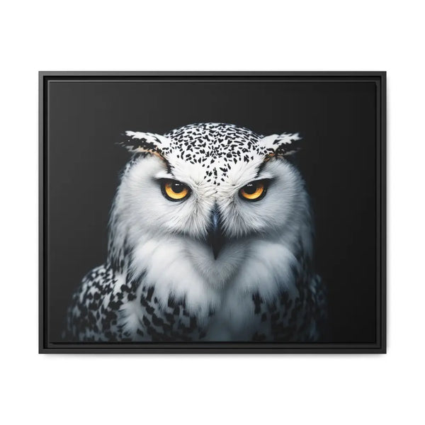 Snow Owl Midnight Edition Framed Art Canvas Wrap – Double R Western™ 30’’ x 24’’ (Horizontal) / Black / 1.25’’ Canvas