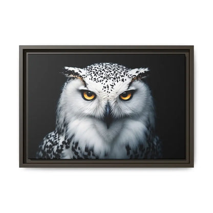 Snow Owl Midnight Edition Framed Art Canvas Wrap – Double R Western™ 18″ x 12″ (Horizontal) / Espresso / 1.25’’ Canvas