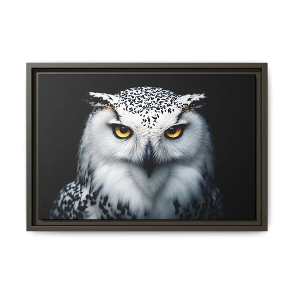 Snow Owl Midnight Edition Framed Art Canvas Wrap – Double R Western™ 18″ x 12″ (Horizontal) / Espresso / 1.25’’ Canvas