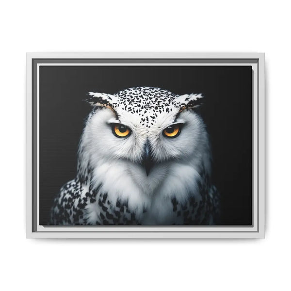 Snow Owl Midnight Edition Framed Art Canvas Wrap – Double R Western™ 16″ x 12″ (Horizontal) / White / 1.25’’ Canvas