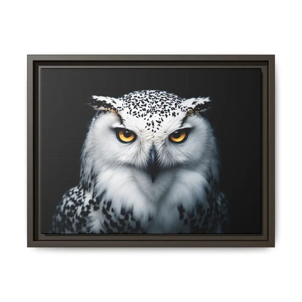 Snow Owl Midnight Edition Framed Art Canvas Wrap – Double R Western™ 16″ x 12″ (Horizontal) / Espresso / 1.25’’ Canvas