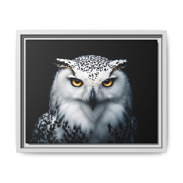 Framed owl wall art with yellow eyes and white-gray plumage; white border frame