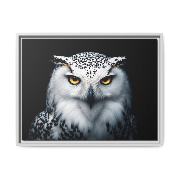 Framed canvas wall art featuring a white and gray owl with amber eyes, silver frame