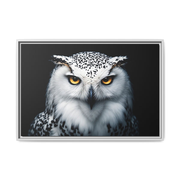 Framed canvas wall art featuring a white and gray owl with amber eyes, silver frame
