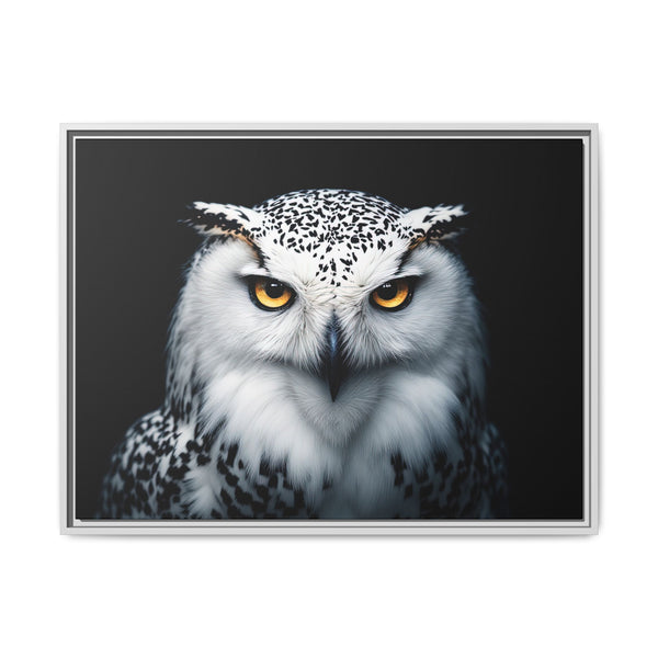 Framed canvas wall art featuring a white and gray owl with amber eyes, silver frame