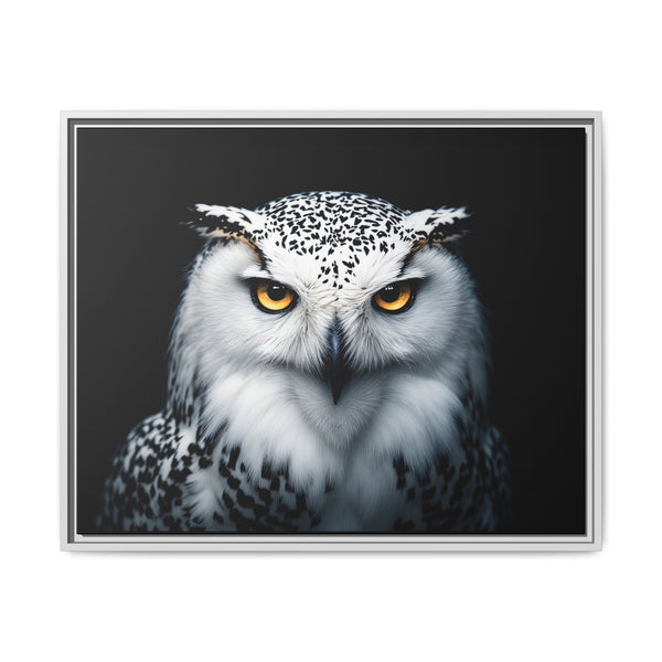 Framed owl wall canvas with white and gray bird, black inner background, silver frame
